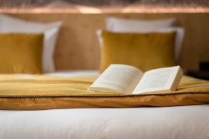 HOTEL & SPA RIBEAUVILLÉ